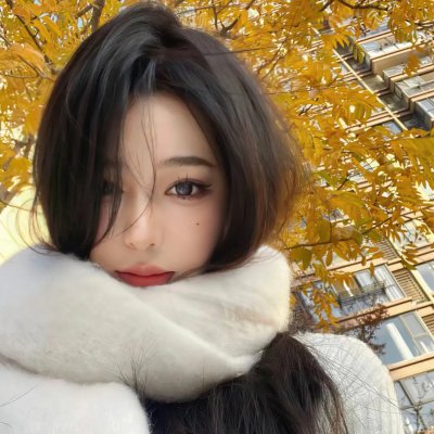 王国之路第二季